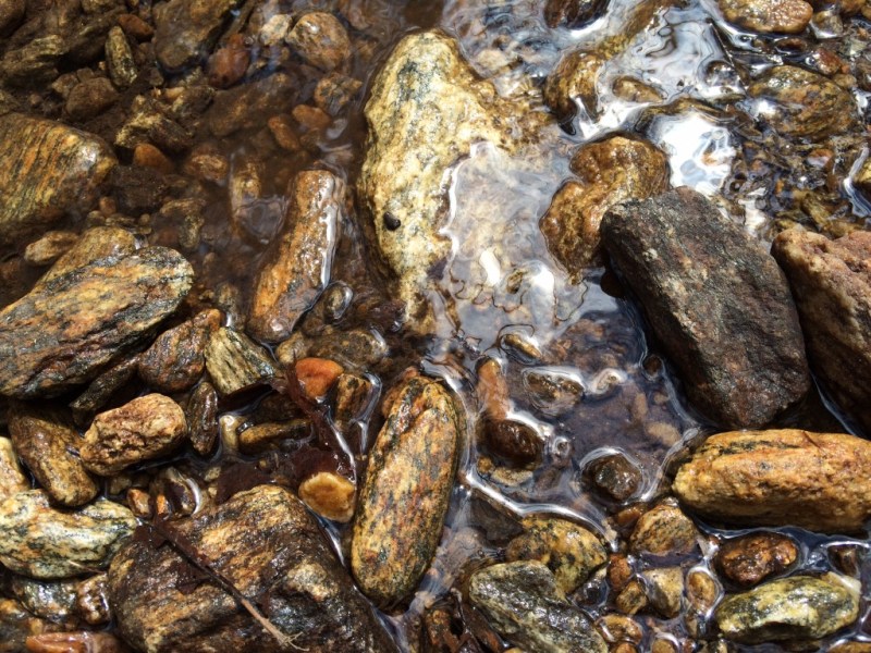 Why are you breathing&nbsp;today?